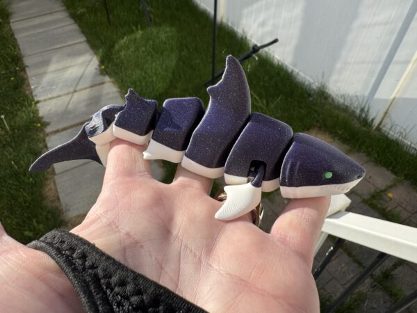Shark